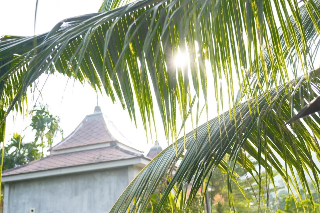 Anodard Phuket, Nai Yang Beach Thalang Εξωτερικό φωτογραφία